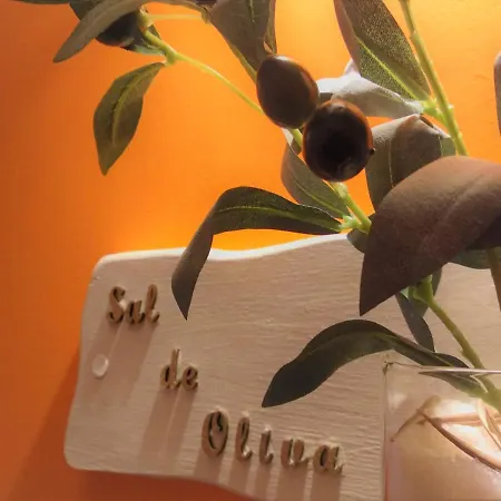 Casa de Campo Madera Y Sal *