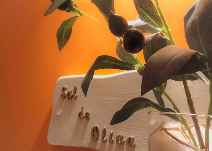 Lantställe Madera Y Sal *